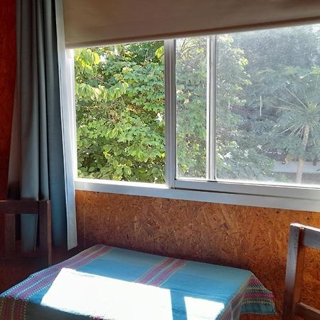 萨尔塔Campanita Amarilla住宿加早餐旅馆 外观 照片